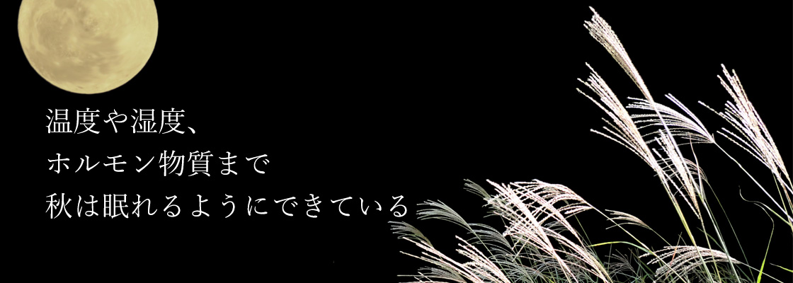 温度や湿度、体の中のホルモン物質まで秋は眠れるようにできている