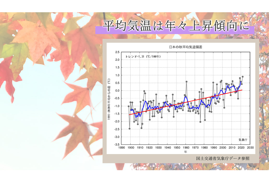 秋の平均気温は年々上昇傾向