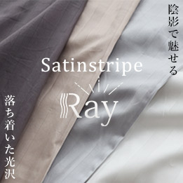 サテンストライプ-Ray-