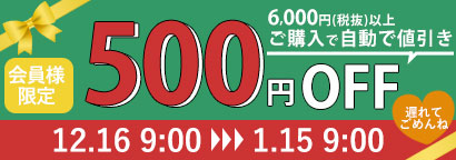 クリスマス500円オフ