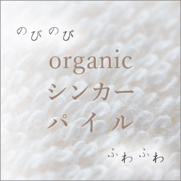 オーガニックコットンシンカーパイル