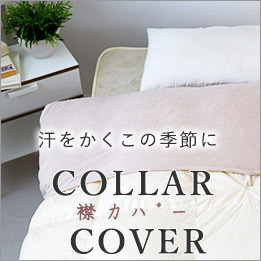 襟ｶﾊﾞｰ