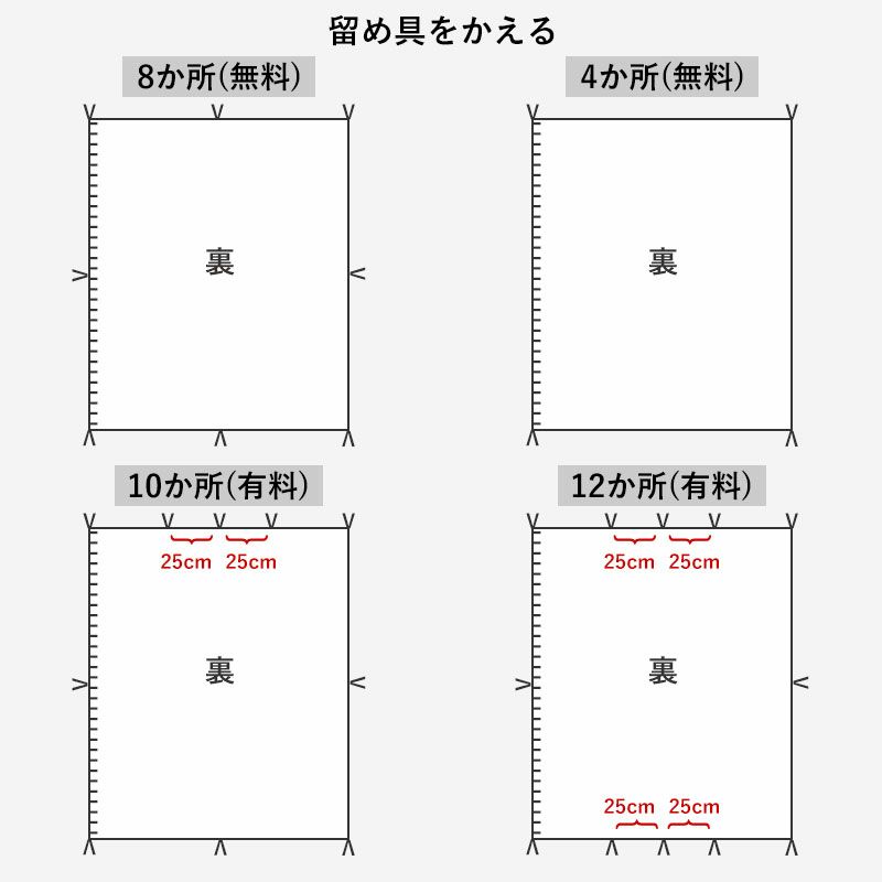 オプション1